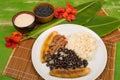 Pabellon criollo and ingredients Royalty Free Stock Photo