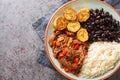 Pabellon criollo is a traditional dish of Venezuela with black beans, rice, plantains and shredded steak that have been cooked