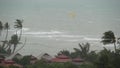 Pabuk typhoon, ocean sea shore, Thailand. Natural disaster, eyewall hurricane. Strong extreme cyclone wind sways palm