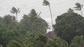 Pabuk typhoon, ocean sea shore, Thailand. Natural disaster, eyewall hurricane. Strong extreme cyclone wind sways palm trees.