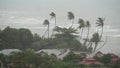 Pabuk typhoon, ocean sea shore, Thailand. Natural disaster, eyewall hurricane. Strong extreme cyclone wind sways palm trees. Royalty Free Stock Photo