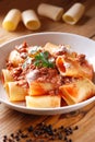 Paccheri Neapolitans with meat sauce Royalty Free Stock Photo