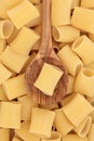 Paccheri Pasta