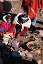 Pachamama ceremony Royalty Free Stock Photo