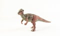 Pachycephalosaurus, dinosaur on white background Royalty Free Stock Photo
