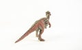 Pachycephalosaurus, dinosaur on white background Royalty Free Stock Photo