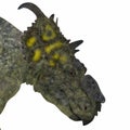 Pachyrhinosaurus Dinosaur Head Royalty Free Stock Photo