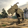 Pachyrhinosaurus dinosaur roaring - 3D render Royalty Free Stock Photo