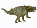 Pachyrhinosaurus Dinosaur Tail Royalty Free Stock Photo