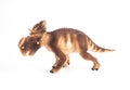 Pachyrhinosaurus Dinosaur on white background Royalty Free Stock Photo