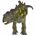 Pachyrhinosaurus Dinosaur on White Royalty Free Stock Photo