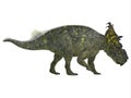 Pachyrhinosaurus Side Profile Royalty Free Stock Photo