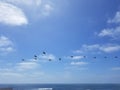 Pacific Coast Highway Beach Scene - Pelican Flock