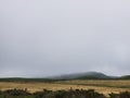 Pacific Coast Highway Scenery - Point Reyes - Coyote