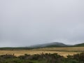 Pacific Coast Highway Scenery - Point Reyes - Coyote