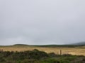 Pacific Coast Highway Scenery - Point Reyes - Coyote