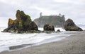 Pacific coast, Olympic National Park