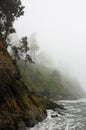 Pacific Coast rocky rugged shoreline in misty fog Royalty Free Stock Photo