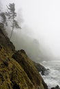 Pacific Coast rugged cliff shoreline misty mystery Royalty Free Stock Photo