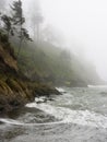 Pacific Coast shoreline with rocky cliffs and fog