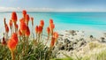 New Zealand Pacific Coast Beach Royalty Free Stock Photo