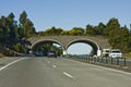 Travel Australia - A wildlife bridge - Sleepy Hollow NSW. Royalty Free Stock Photo