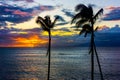 Tropical Sunset Palm Trees Silhouette Pacific Ocean Resort Royalty Free Stock Photo