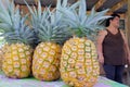 Pacific Island woman sale pineapples Royalty Free Stock Photo