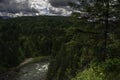 Pacific Northwest Forest, Where Sasquatch Roams