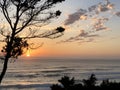 Pacific Northwest- Oregon coastline in summer