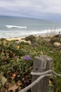 Pacific Ocean Beach at Del Mar, California Royalty Free Stock Photo