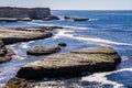 Pacific Ocean Coast Harbor Seals Resting On Rocks, Wilder Ranch State Park, Near Santa Cruz, California