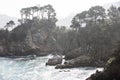 Beautiful Coastline of Point Lobos, California Royalty Free Stock Photo