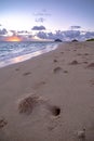 Pacific ocean sunrise at lanikai beach oahu  hawaii Royalty Free Stock Photo