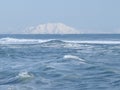 Pacific Ocean, waves and views of the snow-covered hill in winter in sunny weather in Kamchatka, Russia Royalty Free Stock Photo