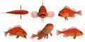 Pacific rock fish - vermilion rockfish_sebastes miniatus