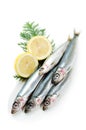 Pacific round herring Royalty Free Stock Photo