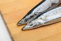 Pacific Saury Royalty Free Stock Photo