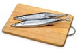 Pacific Saury Royalty Free Stock Photo