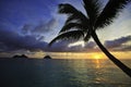 Pacific sunrise in hawaii