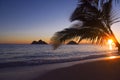 Pacific sunrise at lanikai beach, Hawaii Royalty Free Stock Photo