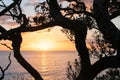 Pacific sunrise from Mount Maunganui.