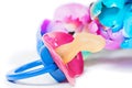 Pacifier with multicolored tulips Royalty Free Stock Photo