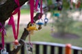 Pacifiers hanged in a tree