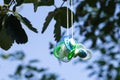 Pacifiers in a tree Royalty Free Stock Photo