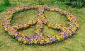 Pacifist sign made of colorful flowers