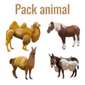 Pack animals set