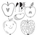 Pack of apple fruits. Outline illustrated apples . Coloring book page