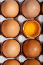 Pack of brown chicken eggs in cardboard container. One egg is broken Royalty Free Stock Photo