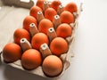 Pack of brown fresh raw chicken eggs in a white carton egg box on a white background close up